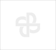 EVOTEC Power: Iluminando o Oriente Médio | 4×2000KW/10.5KV Geradores em Operação