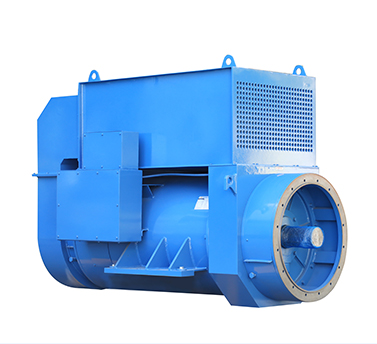 IP55 Special Customized Generator EVO428F