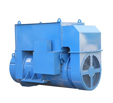 IP55 Special Customized Generator EVO428F